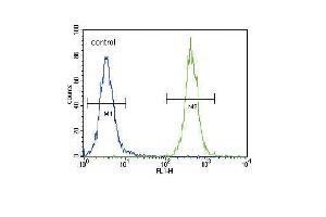 CC85C Antibody (N-term) (ABIN654469 and ABIN2844203) flow cytometric analysis of 293 cells (right histogram) compared to a negative control cell (left histogram). (CCDC85C Antikörper  (N-Term))