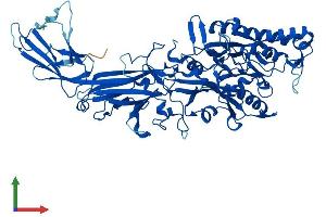 Protein Structure (PS) image for Peptidyl Arginine Deiminase, Type I (PADI1) (AA 1-663) protein (His tag) (ABIN7550546)
