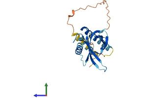 Protein Structure (PS) image for Phosphotyrosine Interaction Domain Containing 1 (PID1) (AA 1-217) protein (His tag) (ABIN7557162)