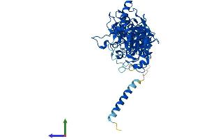 Protein Structure (PS) image for Fukutin Related Protein (FKRP) (AA 1-495) protein (His tag) (ABIN7547666)