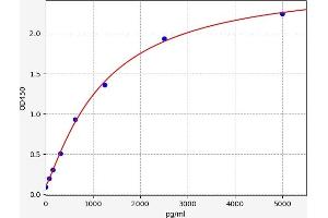 Typical standard curve (ALDH1A7 ELISA Kit)