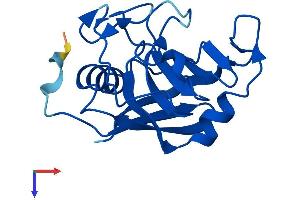 PPIL1 Protein (AA 1-166) (His tag)