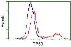 Flow Cytometry (FACS) image for anti-Tumor Protein P53 (TP53) antibody (ABIN1499976) (p53 Antikörper)