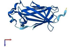 Cnrip1 Protein (AA 1-164) (His tag)