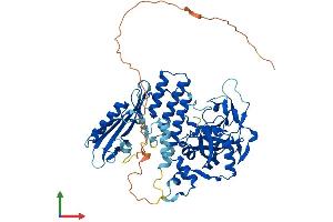 Protein Structure (PS) image for Poly (ADP-Ribose) Polymerase 2 (PARP2) (AA 1-559) protein (His tag) (ABIN7562627)