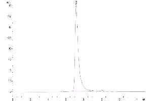 The purity of Human MSLN/Mesothelin was greater than 95 % as determined by SEC-HPLC. (Mesothelin Protein (MSLN) (AA 296-580) (His-Avi Tag))