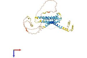 TMEM79 Protein (AA 1-394) (His tag)