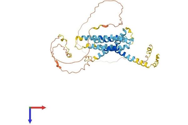 TMEM79 Protein (AA 1-394) (His tag)