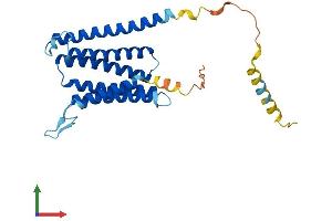 AlphaFold protein structure predicition of Human Recombinant TEDDM1 Protein, UniprotID Q5T9Z0