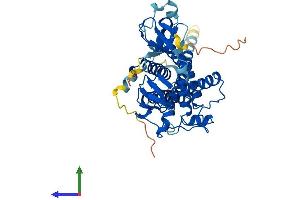AlphaFold protein structure predicition of Human Recombinant ZDHHC6 Protein, UniprotID Q9H6R6