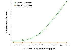 ELISA image for anti-Aldehyde Dehydrogenase 1 Family, Member L1 (ALDH1L1) antibody (ABIN2715906) (ALDH1L1 Antikörper)