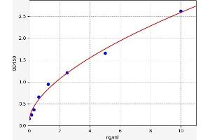 Typical standard curve (STRAP ELISA Kit)