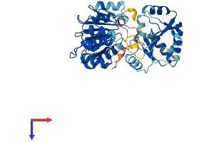 EIF4A2 Protein (AA 1-407) (His tag)