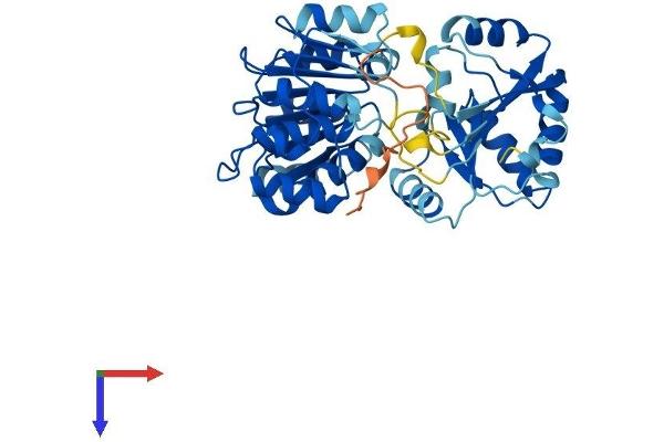 EIF4A2 Protein (AA 1-407) (His tag)