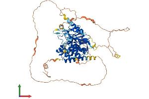 Protein Structure (PS) image for Myotubularin Related Protein 14 (MTMR14) (AA 1-648) protein (His tag) (ABIN7559913)