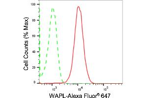 Flow cytometric analysis of WAPL expression in HepG2 cells using WAPL antibody (ABIN7800865), 1:2,000). (Rekombinanter WAPAL Antikörper)