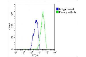 Overlay histogram showing HepG2 cells stained with (ABIN387939 and ABIN2844487)(green line). (RORA Antikörper  (AA 193-222))