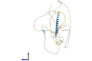 AlphaFold protein structure predicition of Human Recombinant AKAP5 Protein, UniprotID P24588