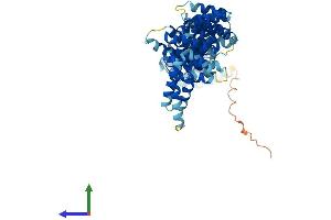 AlphaFold protein structure predicition of Human Recombinant TTC34 Protein, UniprotID A8MYJ7 (TTC34 Protein (AA 1-566) (His tag))