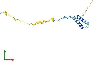 AlphaFold protein structure predicition of Human Recombinant ERVK-16 Protein, UniprotID P61578 (ERVK-16 Protein (AA 1-105) (His tag))