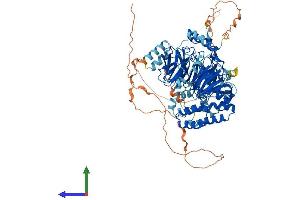 Protein Structure (PS) image for TAF5 RNA Polymerase II, TATA Box Binding Protein (TBP)-Associated Factor, 100kDa (TAF5) (AA 1-800) protein (His tag) (ABIN7555731)