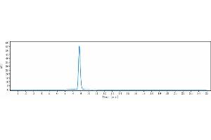 The purity of Anti-CTLA-8 / IL-17a Reference Antibody (CAT-2200) is more than 95 % , determined by SEC-HPLC. (Rekombinanter Interleukin 17a Antikörper)