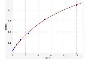 SLC6A2 ELISA Kit