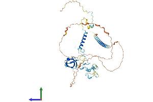 Protein Structure (PS) image for Hematopoietic Cell-Specific Lyn Substrate 1 (HCLS1) (AA 1-486) protein (His tag) (ABIN7548203)