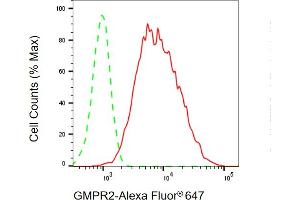 anti-Guanosine Monophosphate Reductase 2 (GMPR2) antibody