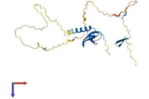 CBX7 Protein (AA 1-251) (His tag)