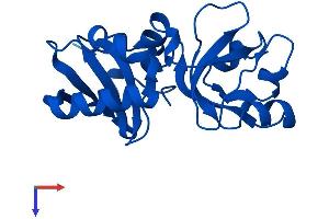 MCTS1 Protein (AA 1-181) (His tag)