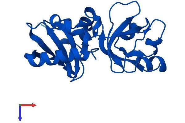 MCTS1 Protein (AA 1-181) (His tag)