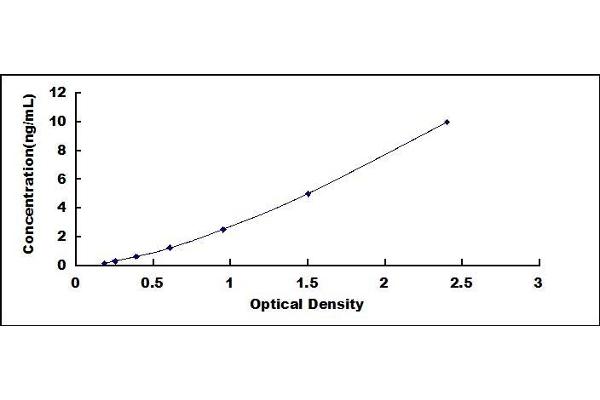 CD36 ELISA Kit