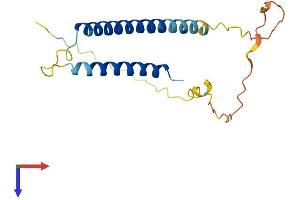 C17orf49 Protein (AA 1-171) (His tag)