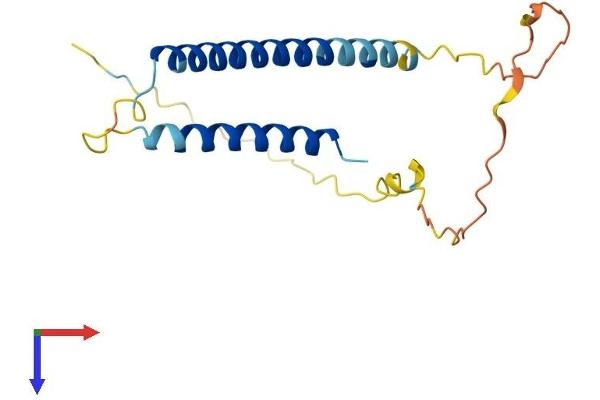 C17orf49 Protein (AA 1-171) (His tag)