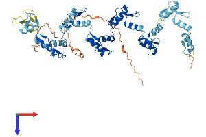 ZNF83 Protein (AA 1-516) (His tag)