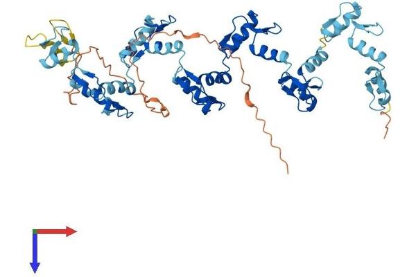 ZNF83 Protein (AA 1-516) (His tag)