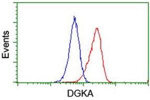 Flow cytometric Analysis of Jurkat cells, using anti-DGKA antibody (ABIN2455395), (Red), compared to a nonspecific negative control antibody, (Blue). (DGKA Antikörper)