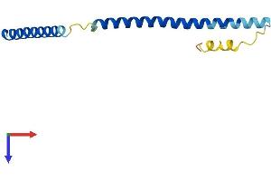 FAM33A Protein (AA 1-120) (His tag)