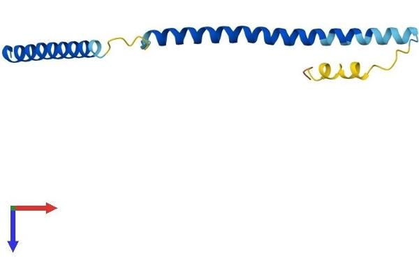 FAM33A Protein (AA 1-120) (His tag)