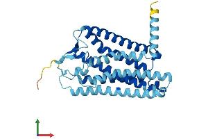 AlphaFold protein structure predicition of Human Recombinant OR4D9 Protein, UniprotID Q8NGE8 (Olfactory Receptor, Family 4, Subfamily D, Member 9 (OR4D9) (AA 1-314) protein (His tag))