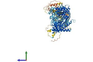 Protein Structure (PS) image for Adenylate Cyclase 2 (Brain) (ADCY2) (AA 1-1091) protein (His tag) (ABIN7552005)