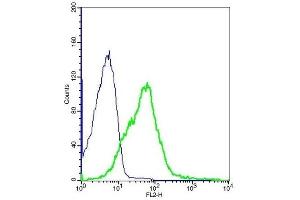 Mouse splenocytes probed with Rabbit Anti-CD83 Polyclonal Antibody, PE Conjugated .