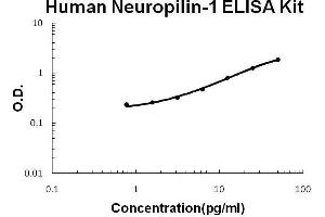 Human Neuropilin-1 PicoKine ELISA Kit standard curve