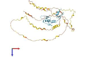 KLF2 Protein (AA 1-354) (His tag)