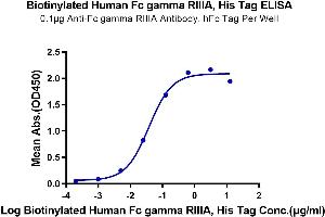 Immobilized Anti-Fc gamma RIIIA Antibody, hFc Tag at 1 μg/mL (100 μL/Well) on the plate.