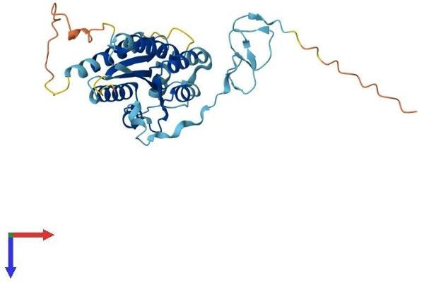GTF2H3 Protein (AA 1-308) (His tag)