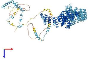 PRP6/ANT-1 Protein (AA 1-941) (His tag)