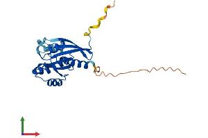 Protein Structure (PS) image for RAB43, Member RAS Oncogene Family (RAB43) (AA 1-212) protein (His tag) (ABIN7551156)