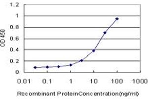 Detection limit for recombinant GST tagged NHLH2 is approximately 0. (NHLH2 Antikörper  (AA 36-135))